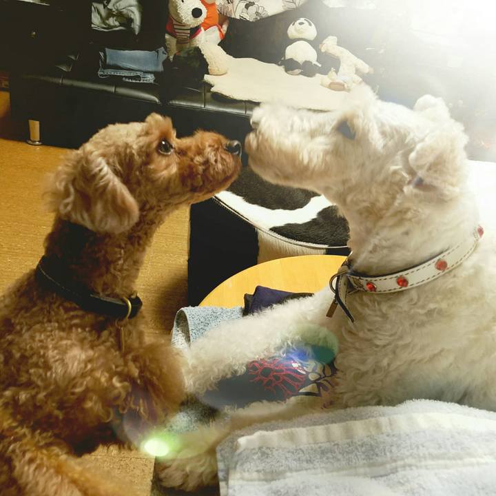 1f83e87d 3c96 4467 b14f 3bc918932f2f