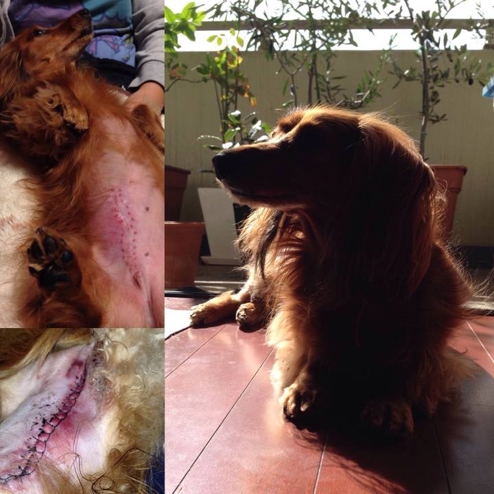 1f849847 0155 46ea 8852 203094186a66