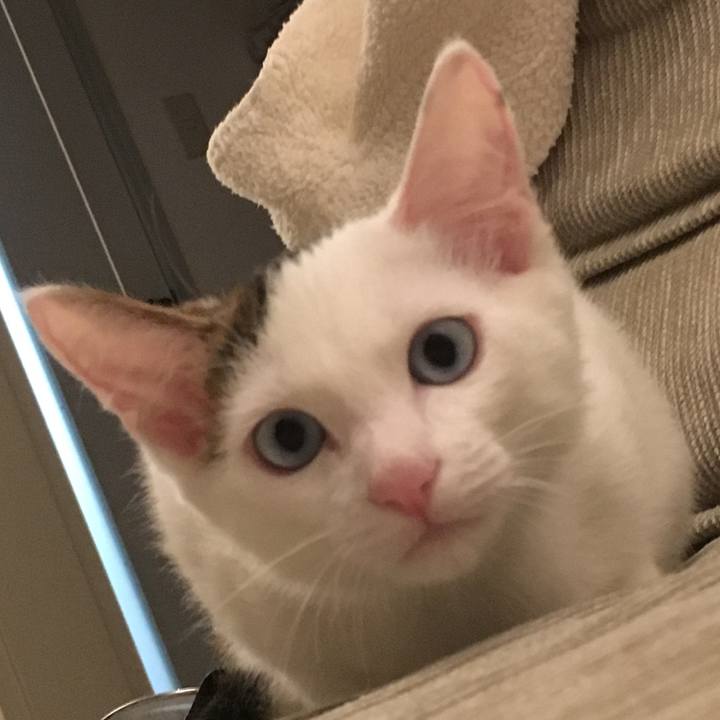 1f84d245 e28f 416b b2a4 1c10e4c7c32f