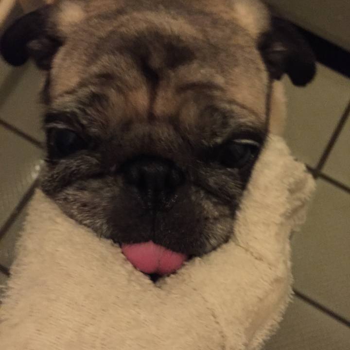 1f85144b 5466 4fde a2f4 d3db0e1002d0