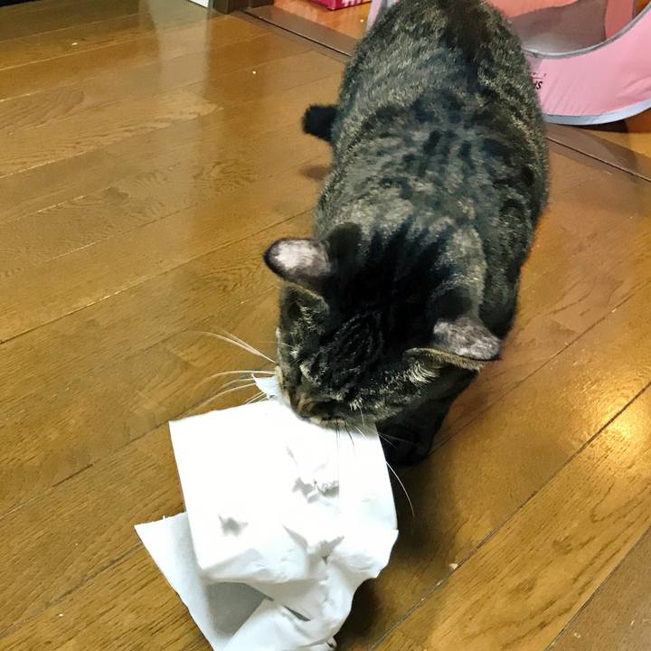 1f8548f9 6e75 49e6 833b 801169cadf57