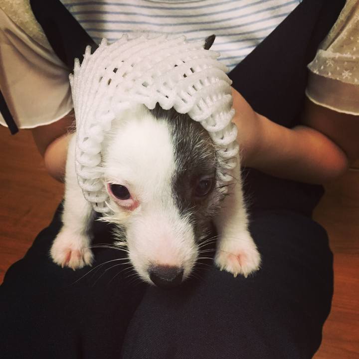 1f8720a4 5692 49be 8bc0 978a24a834f9