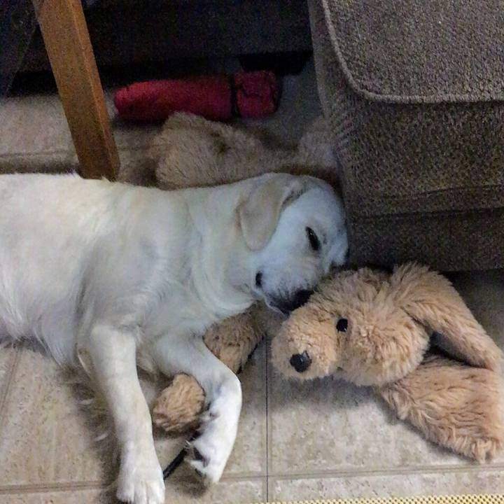 1f872716 4866 4a2b b522 dea28b39cbd7