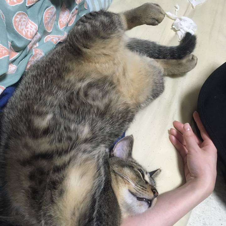 1f89668e c82c 474f 9f80 99aa3ba4e64c