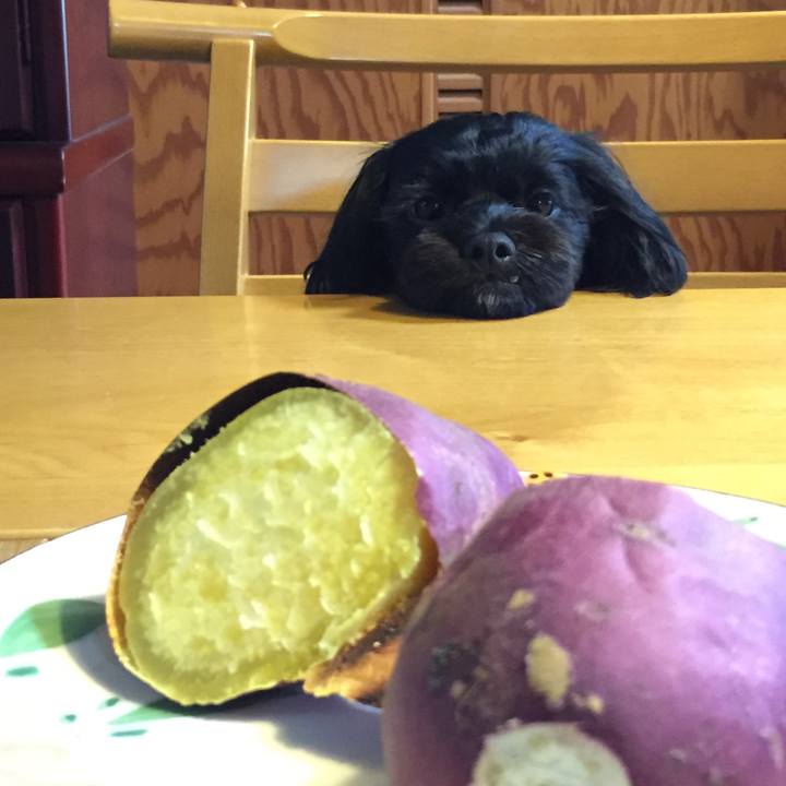 1f897d8a 622f 4d89 8b8c 26d5d9931086