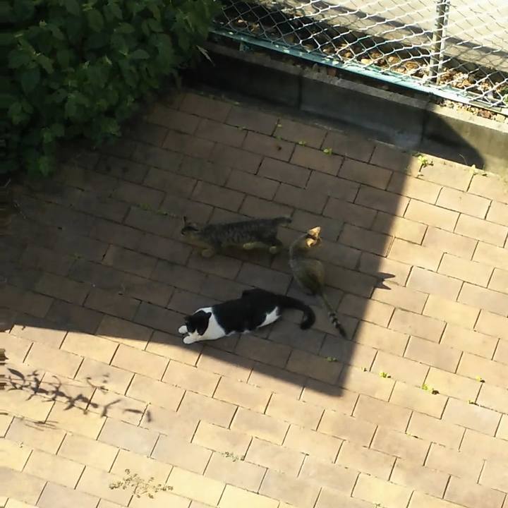 1f89bb9a 2a7f 48a1 bbd1 632b8e21fd70