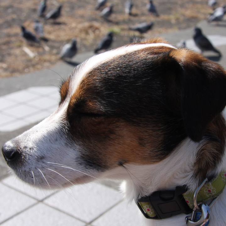 1f8a3910 8122 4917 a49c 1a066fec89bf