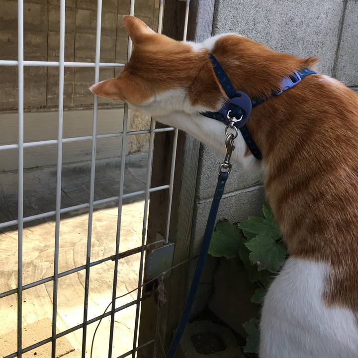 1f8e4bd6 fd1e 48ab 878f 6cf9b29a5f8b