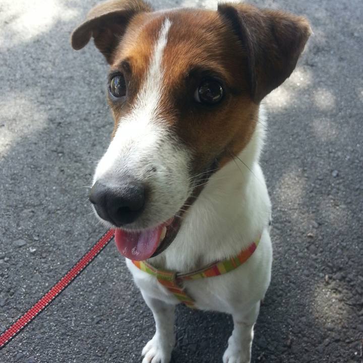 1f8e6694 0dd2 431d 92c3 f22939ef689c