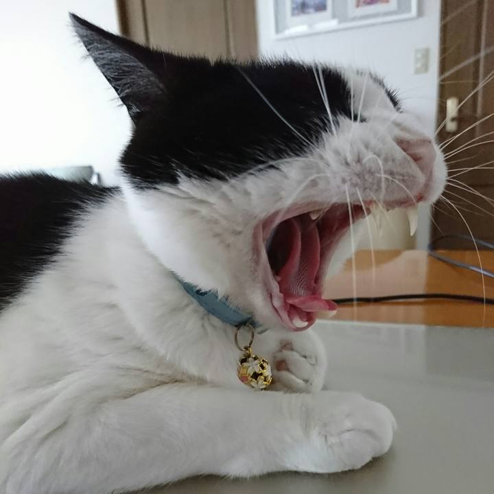 1f8eb706 791a 4af7 8945 766d72cc30f6