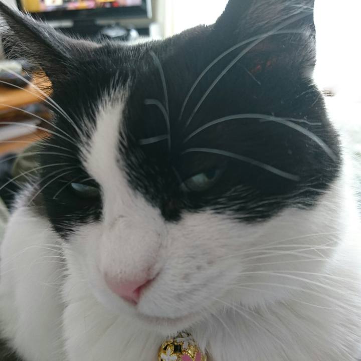 1f8ec9c0 a497 42d4 943a 6231a5514f39