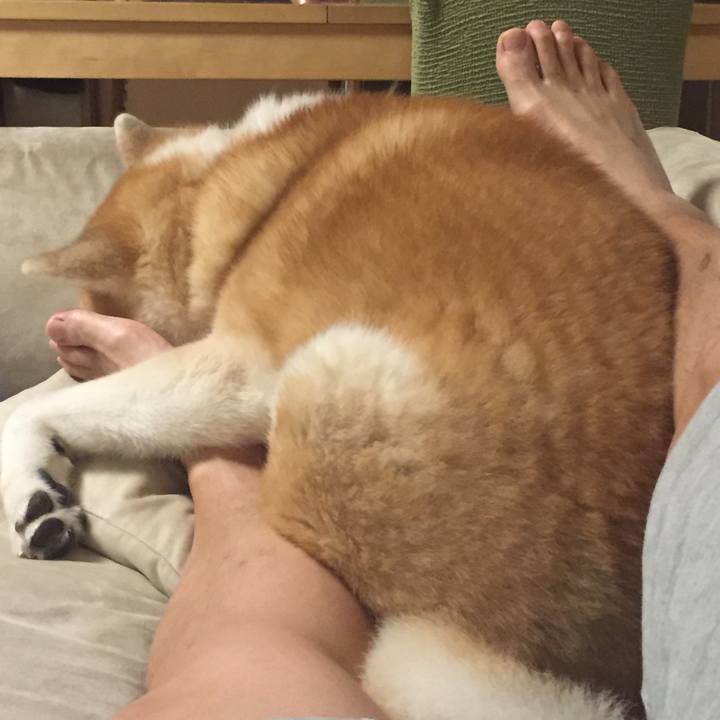 1f8f1218 ec75 4996 b3aa f300a8ab802e