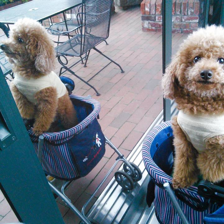 1f8ff51f a178 4f36 a9db c525177663aa