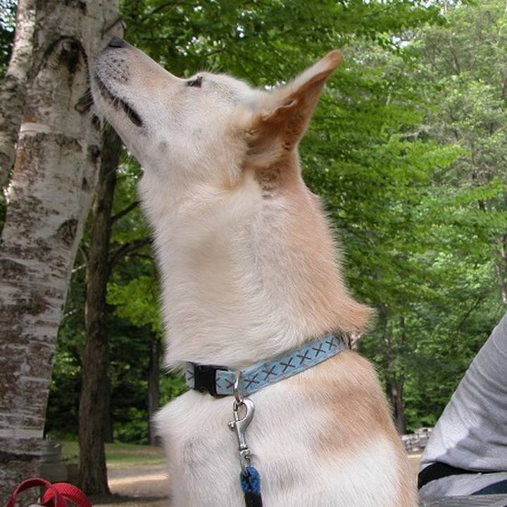 1f906068 ba8f 4594 83d2 e4aa93d2c14e