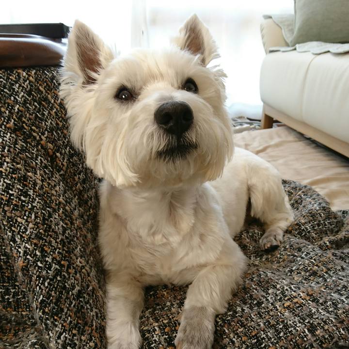 1f906cd1 8848 4b85 bd35 60310d8a6a17