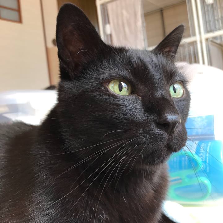 1f90f2ee 8dad 4687 8e5a e8a5263df552