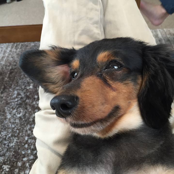 1f916abd 92d2 4969 8c90 f1843947e259