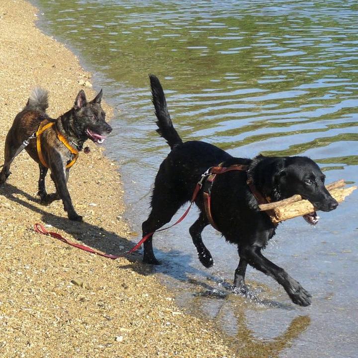 1f924e65 e778 45d0 8f89 19051035c64a