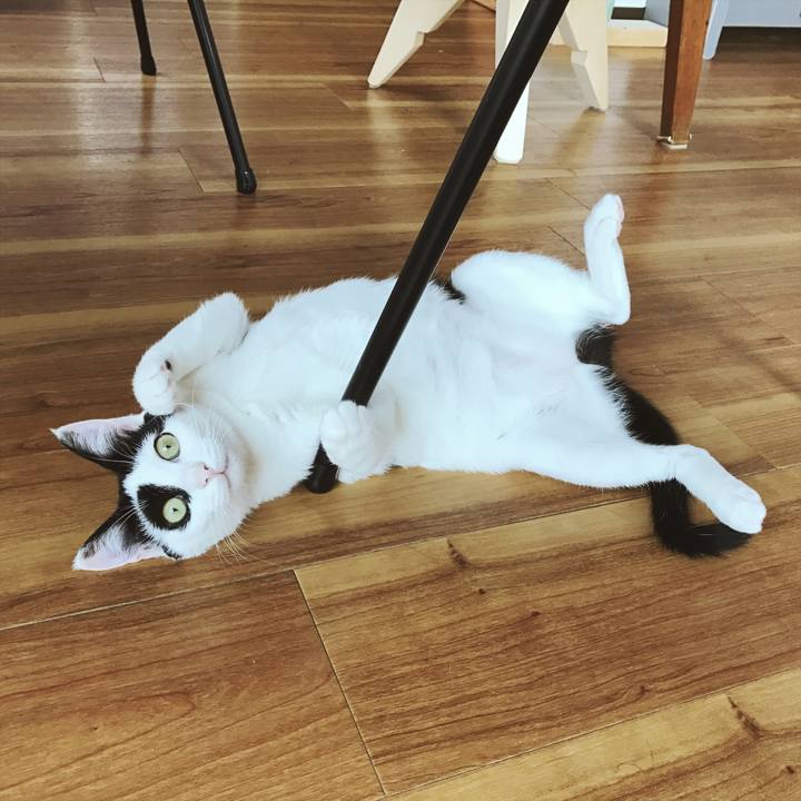 1f9291c2 de2a 486a b88e 46634260dc00