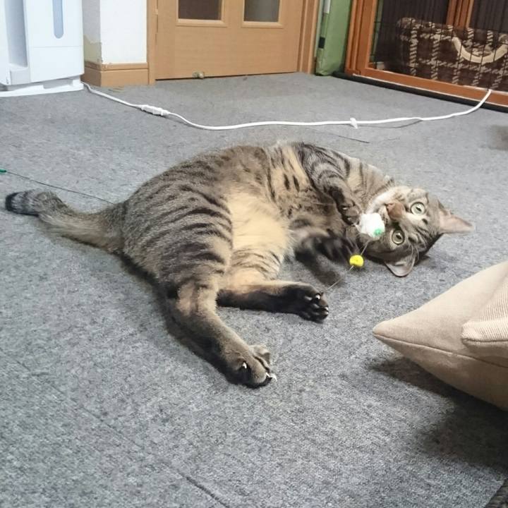 1f92f9ef a512 4dcd 860a 99556413a0bf