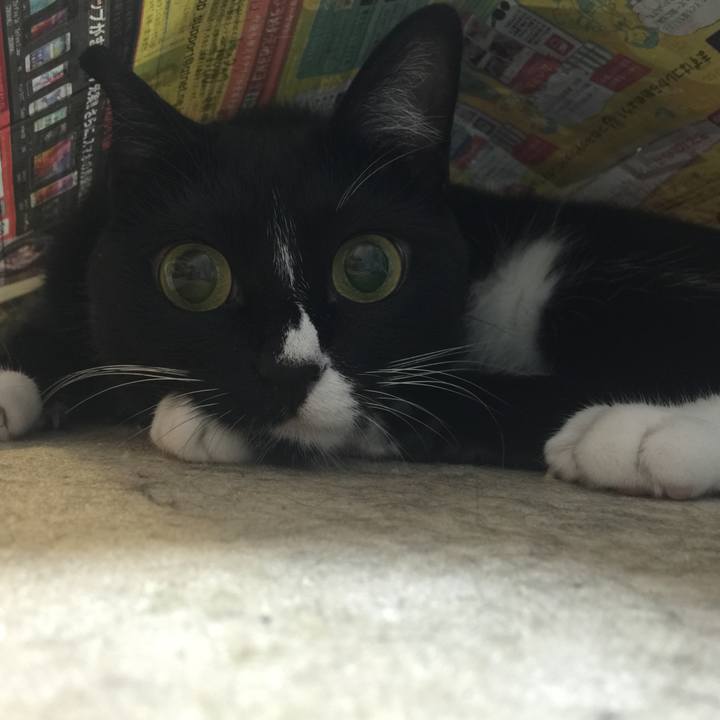 1f93e467 3de9 477f 9597 96bb5b38a7df