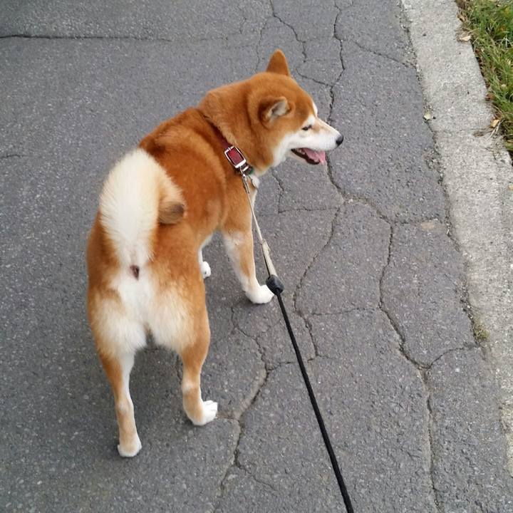 1f94185b 1001 4775 adba fcff0fd73ca0