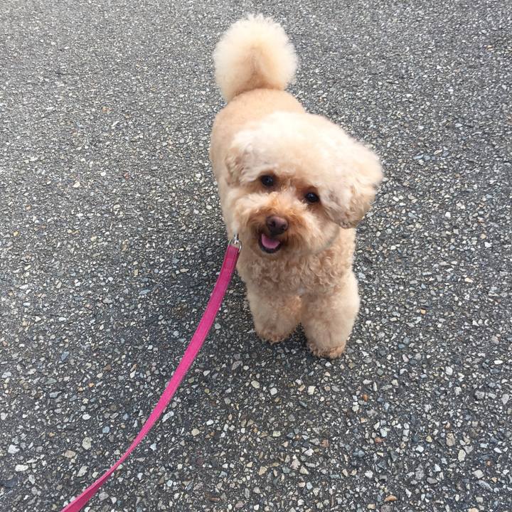 1f943fff 09da 44fa b1f9 7ed06ae5f6f1