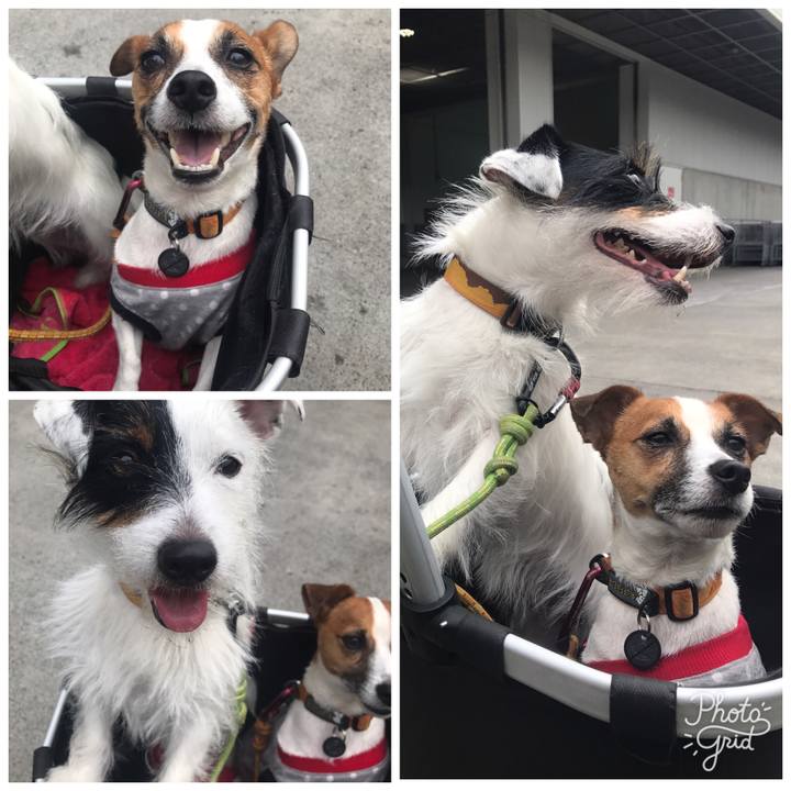 1f94cc85 16ac 4c9b 89d8 09aee39d4f5c