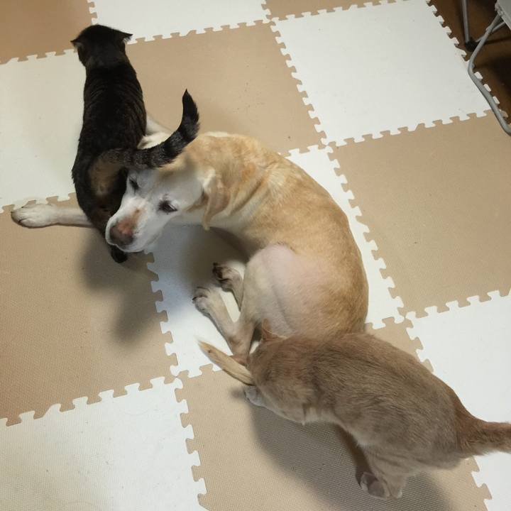 1f954f94 6474 4efb 9d25 d827b467b57b