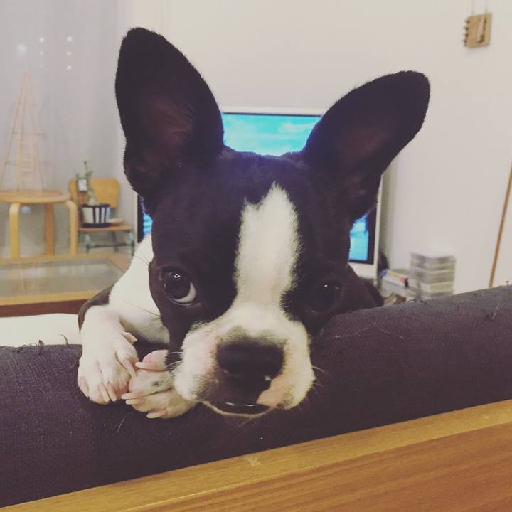 1f95d101 cc06 40ab a508 942ba158b2ee