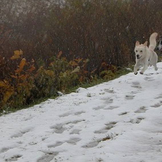 1f962a51 d0df 4696 8b7b 7a3be16f1ab6