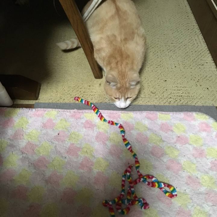 1f9636b8 3531 4df9 84f7 cf4c400429a7