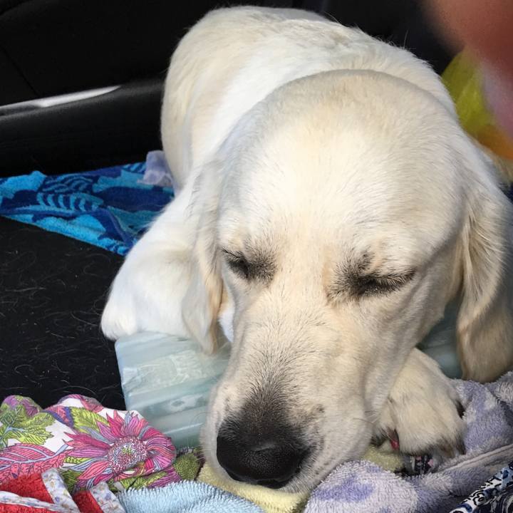 1f9676f6 193b 4343 91b2 e02ca6e5b0a0