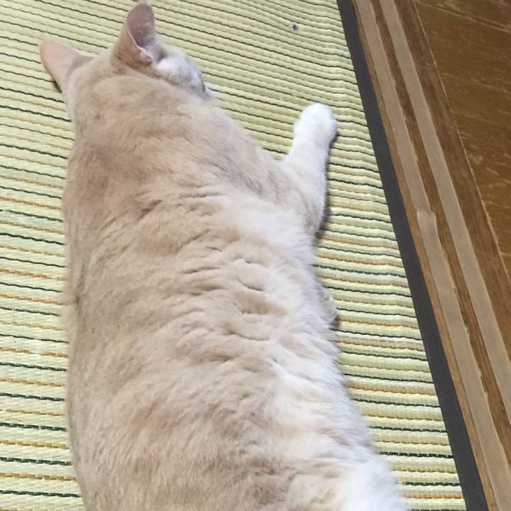 1f96a2cd 6890 4349 b82f f58fc9955925