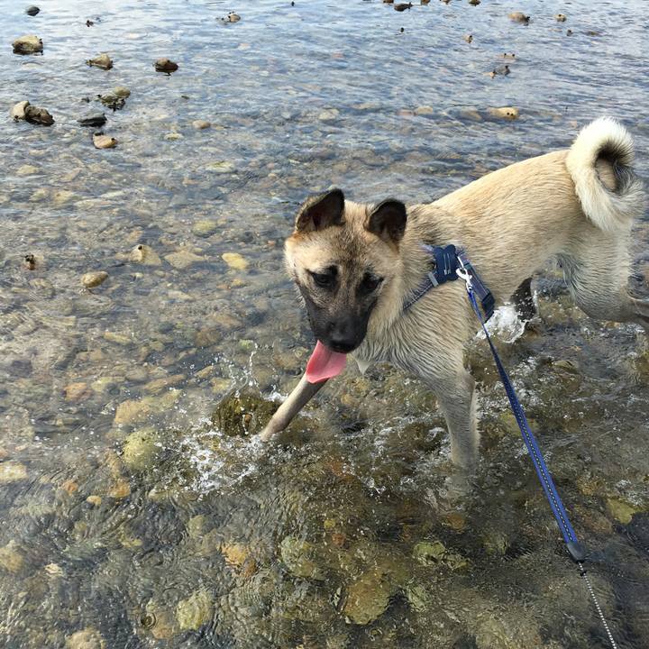 1f97cc3a 45b1 4d0b 8520 988bf35d0666