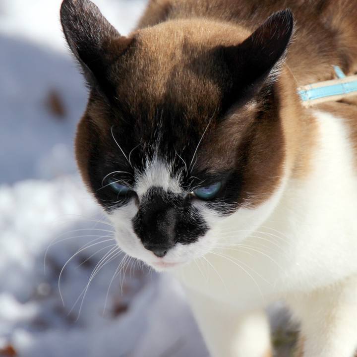 1f995e47 767c 4b44 b64a ff6660f50341