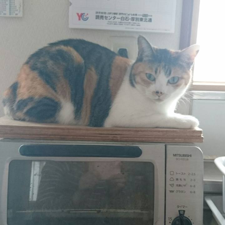 1f997566 2e00 4e0f 92cd 555cd2196065