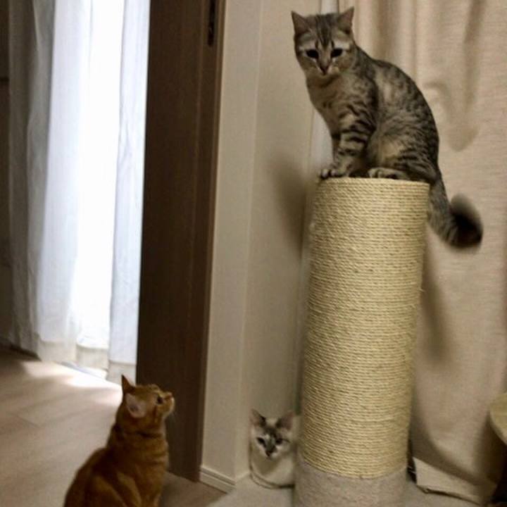 1f9a24f7 b333 4066 8175 cfd93ed4a336