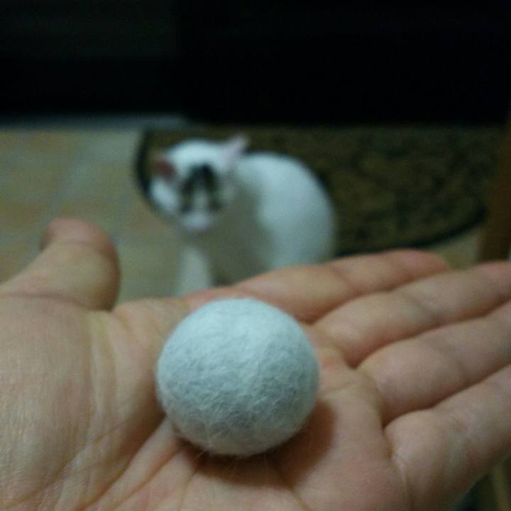 1f9a77f8 64aa 47f9 8e4a 961cf7e18403