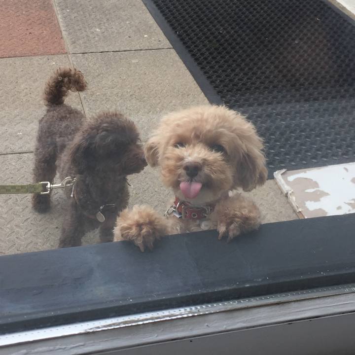 1f9ac356 0517 4d2e a27c 25d0edf2c098