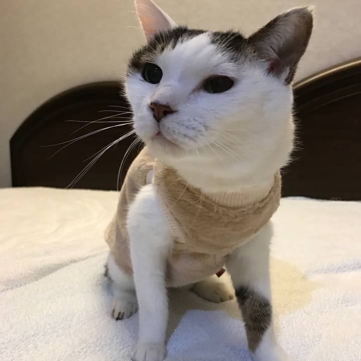 1f9b3353 cb50 499d 8f89 a9bfa8f8eccd