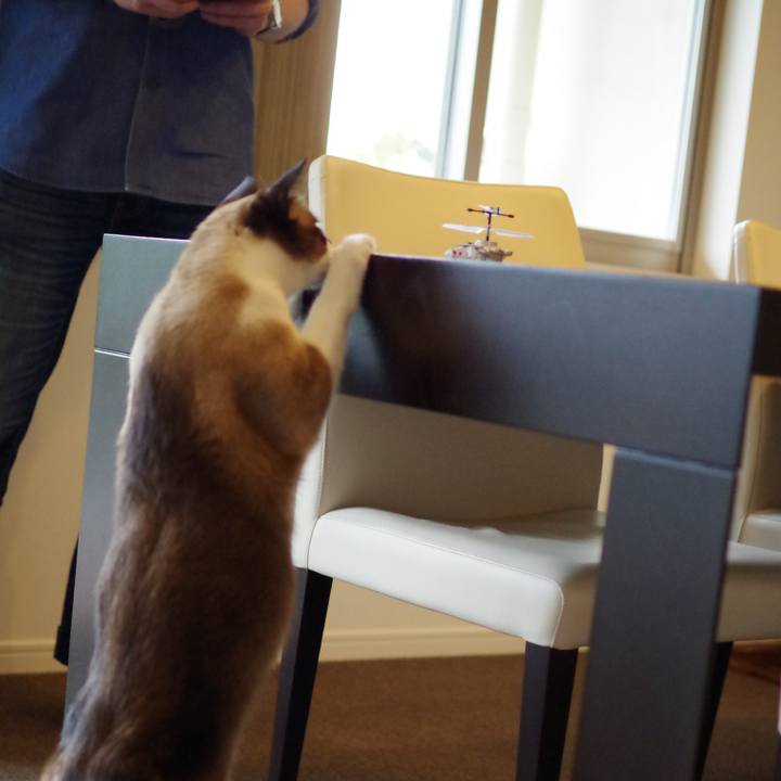 1f9b3d88 6ee1 402b 8426 7dd0d01d0541