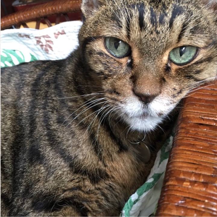 1f9be8a6 78b0 4a15 84e8 74307ea15062