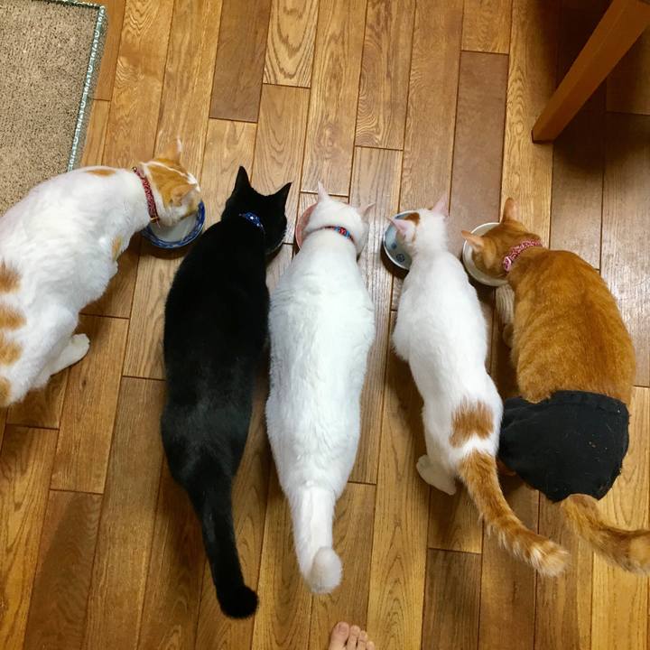 1f9cecd1 f134 4660 af3b 7ed56de1412f