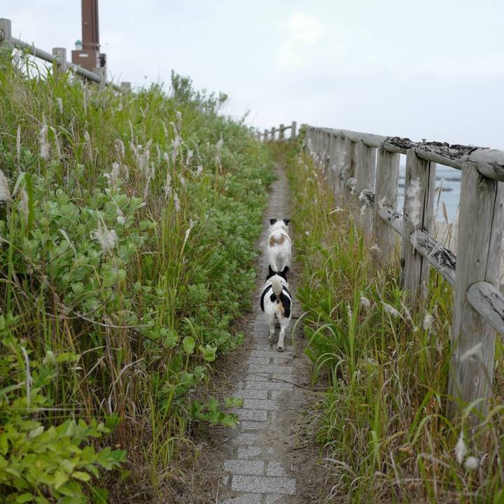 1f9cf415 1869 47e6 9a65 22878484748c