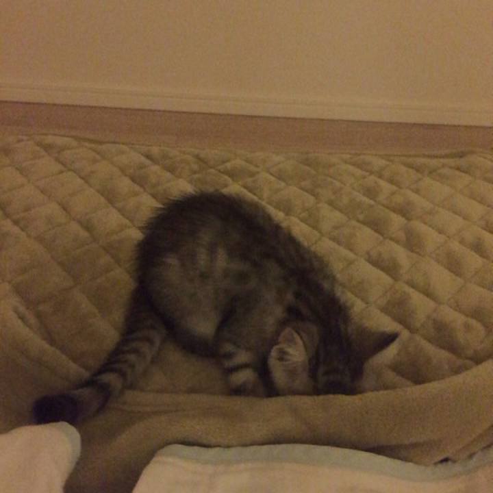 1f9d000c 74cd 4c57 8dbe 55073d4068bb