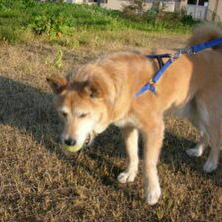 1f9d31cd e46d 4b10 b583 fe204cdf6002