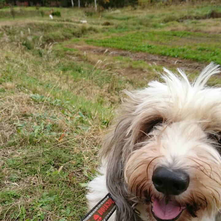 1f9d669e a790 4543 a8bd 143aff6bf3e7