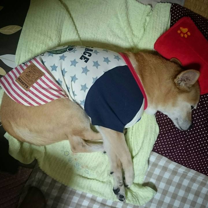 1f9dd2ae 1091 4e27 9e01 1b0d3acb5680