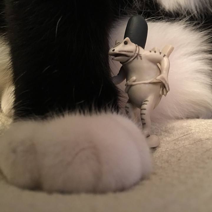 1f9e0f5d 3cbd 4dc6 aafd ac224d41aa24